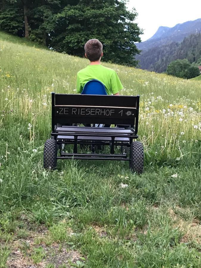 Rieserhof/Fam. Meissnitzer Taxenbach Eksteriør billede